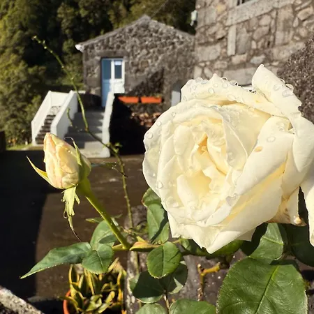 Vakantiehuis Casa Duas Ribeiras *