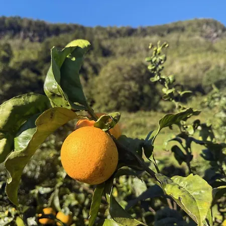 Casa Duas Ribeiras Vakantiehuis Lajes do Pico